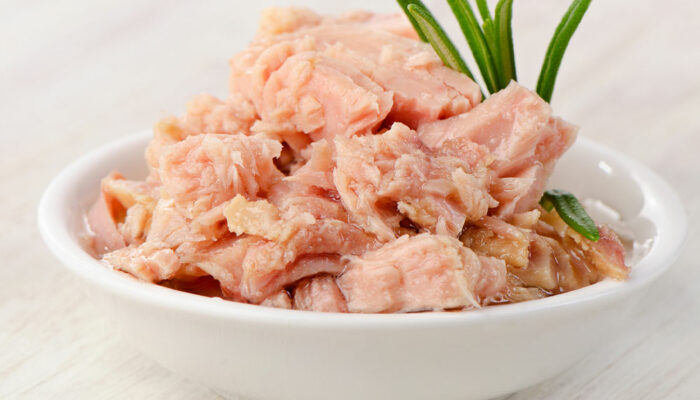 7 Human Foods That Are Safe for Cats to Enjoy