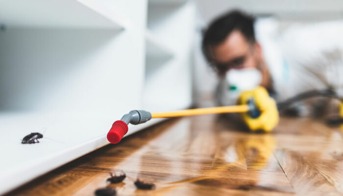 7 tips for choosing the best pest control service