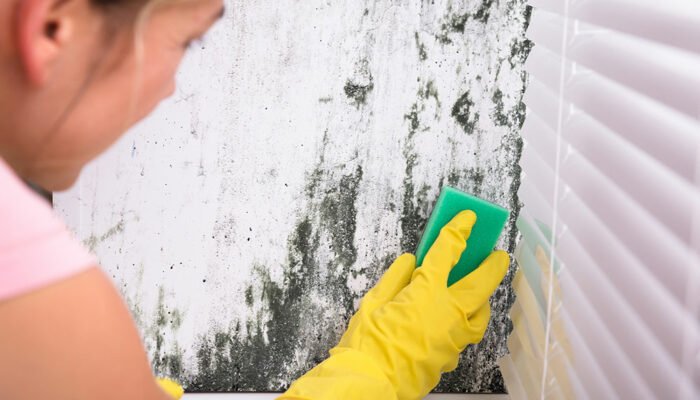 10 household factors likely to trigger lung problems